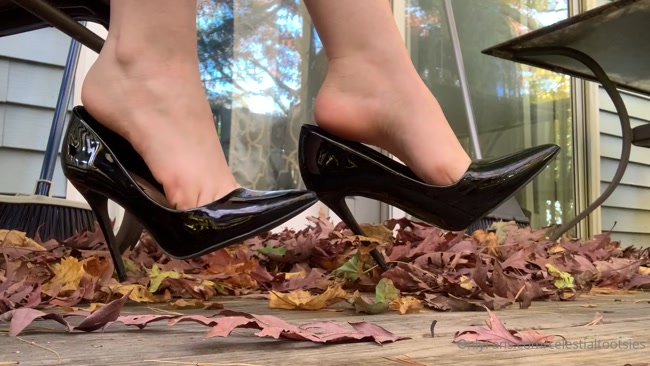 celestial tootsies - Classy black heels